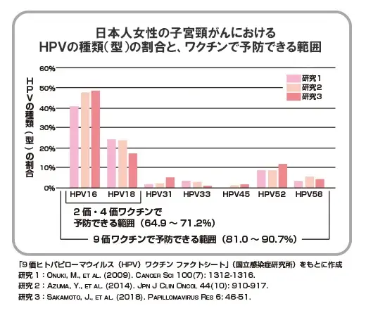 日本人女性の子宮頸がんにおけるHPVの種類（型）の割合と、ワクチンで予防できる範囲を示したグラフ。グラフで示される内容は本文に記載。