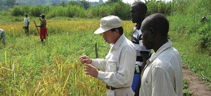 Cultivating A Miracle Grain To Sustain Africa In The Next Century September 14 Highlighting Japan