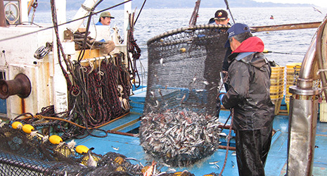 Set Nets for Sustainable Fishing, April 2018
