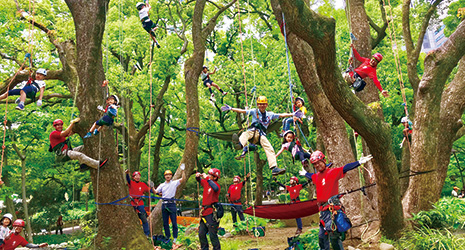 Gathright leads a tree-climbing class for children in Japan