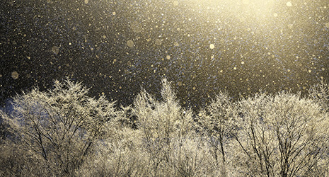 Diamond Dust: Hokkaido Winter Glitter