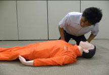 心肺蘇生をする人が、訓練用の人形の胸とお腹の動きを見て、呼吸を確認している動作