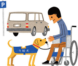 体に障害のある人の目や耳や手足となって働く 身体障害者補助犬 への理解を深めましょう 暮らしに役立つ情報 政府広報オンライン