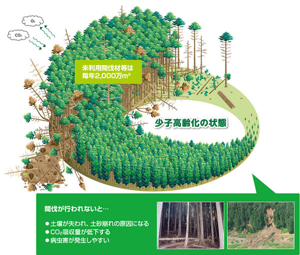 イラスト：現状の森林の状況。未利用間伐材等が毎年2,000万立法メートル発生。間伐が行われず、土壌が失われ、CO2の吸収量が低下。