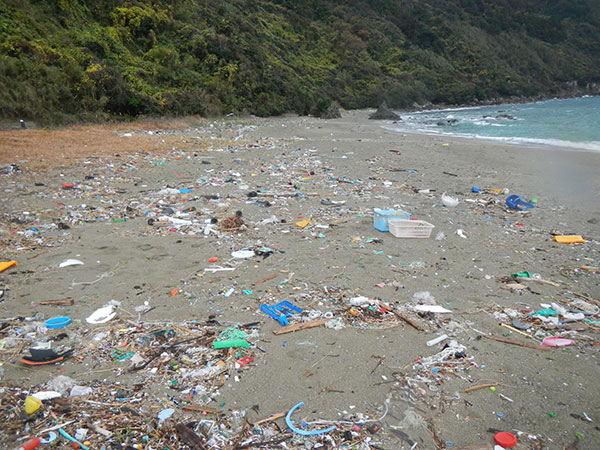 海のプラスチックごみを減らし きれいな海と生き物を守る プラスチック スマート キャンペーン 暮らしに役立つ情報 政府広報オンライン